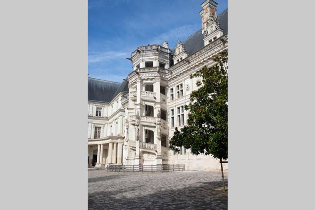 Appartement Quartier Cathedrale Blois Kültér fotó